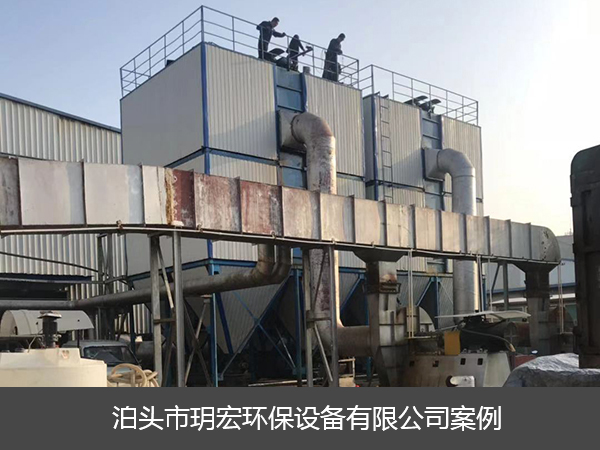 山东寿光2台20吨锅炉除尘设备